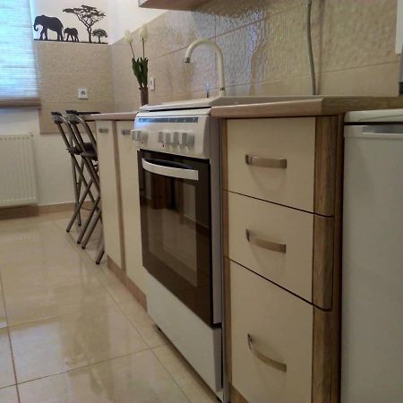 Studio Apartman Zdral Дарувар Экстерьер фото