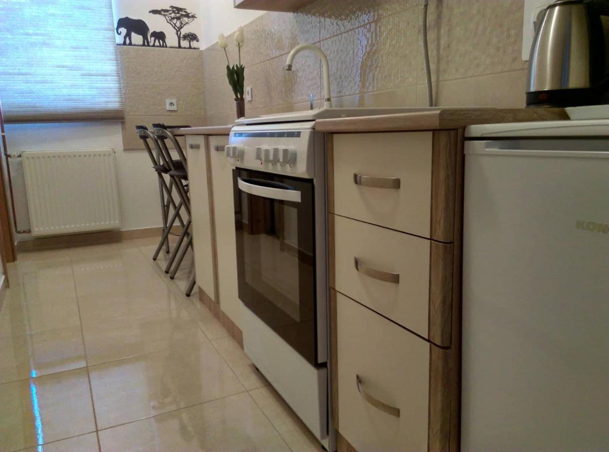 Studio Apartman Zdral Дарувар Экстерьер фото